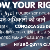 Immigration Rights Banner