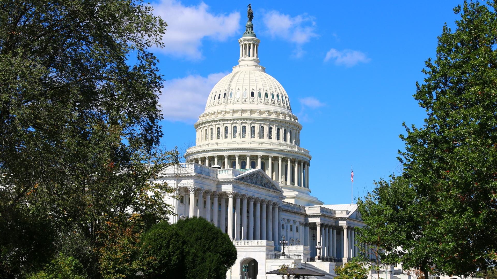 Tree  lined side of the Capitol building