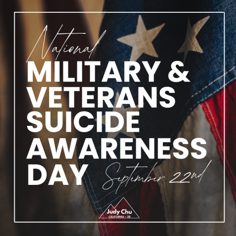 National Military & Veterans Suicide Awareness Day Graphic with American Flag