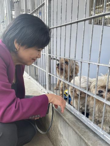 After the devastating Eaton Fire, Rep. Chu visited the more than 450 pets that Pasadena Humane took in as families rushed to evacuate their homes. 